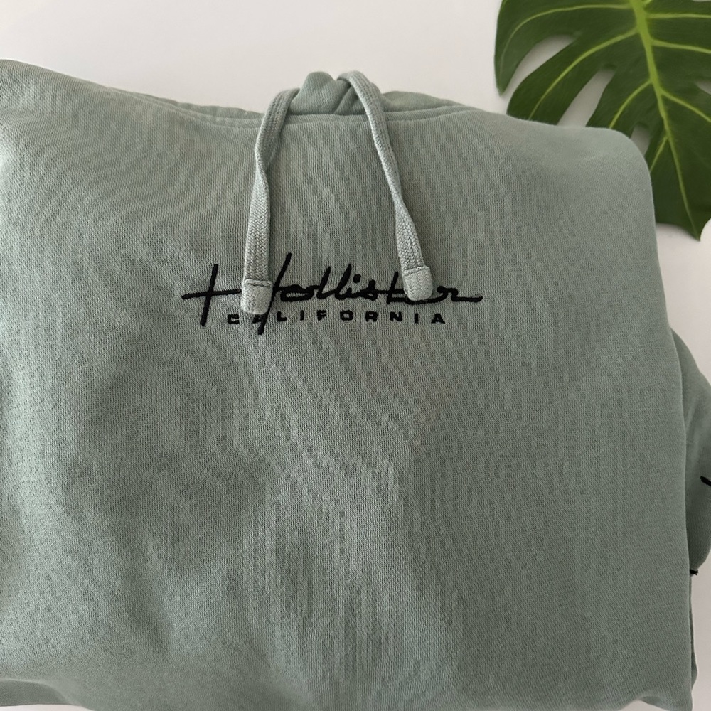 Sage Green Hollister Hoodie Men’s Small